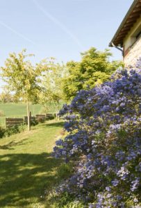 naturopathe toulouse