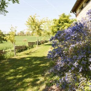 naturopathe toulouse